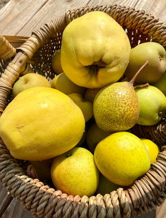 Picking the Pommes - Perfect Apples, Pears & Quince