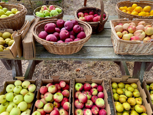 Fall Workshops at Birdsong Orchards