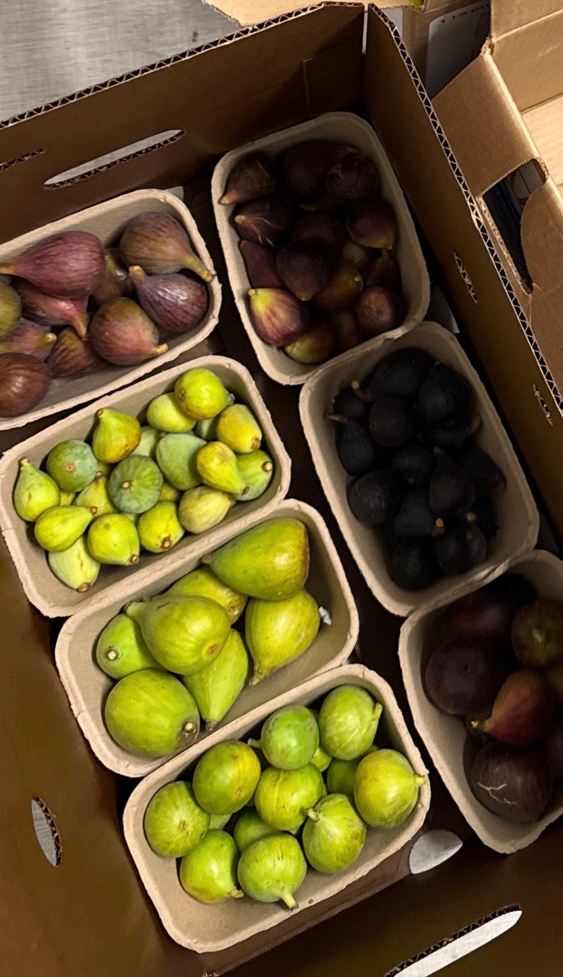 Mixed Figs