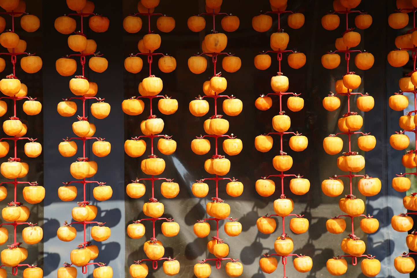 Persimmons & Hoshigaki Workshop - December 3rd