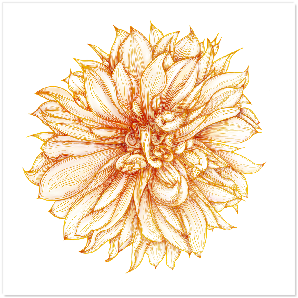 Cafe Au Lait Dahlia Sticker