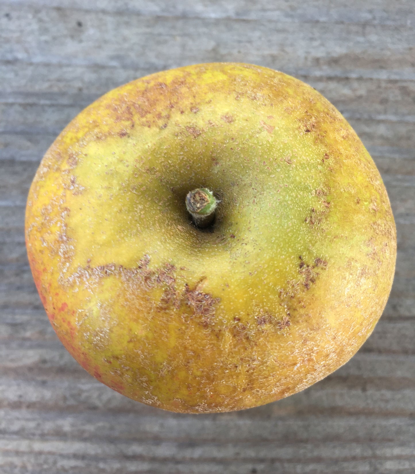 Ashmead's Kernel Apples