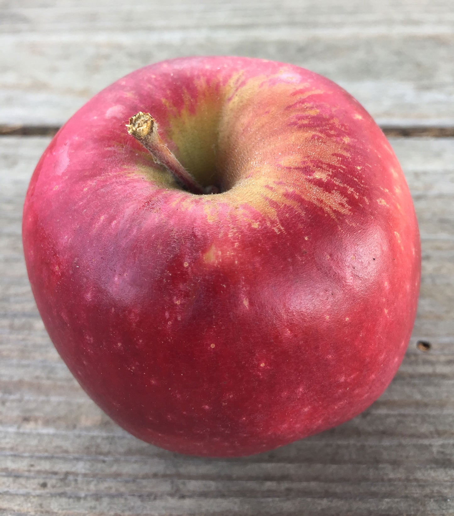 Cinnamon Spice Apples