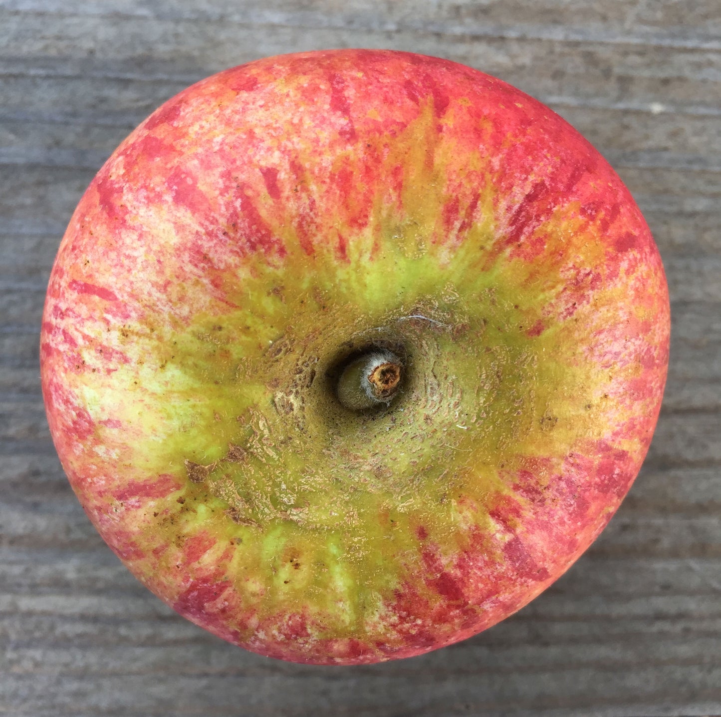 Cox's Orange Pippin Apples
