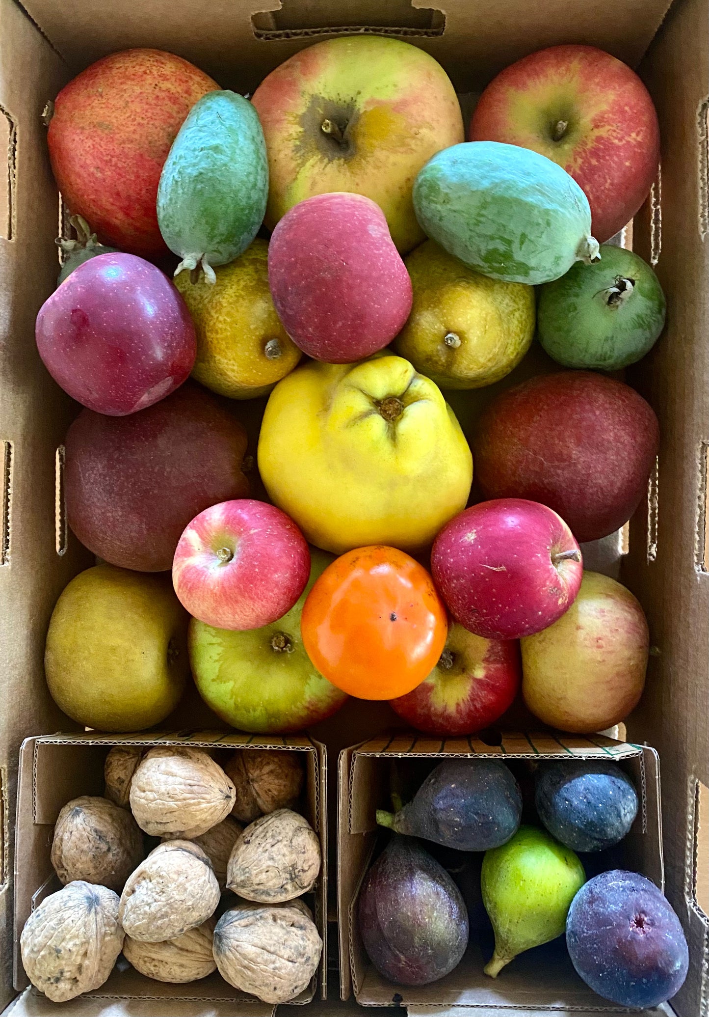 Fall Harvest Bounty Box