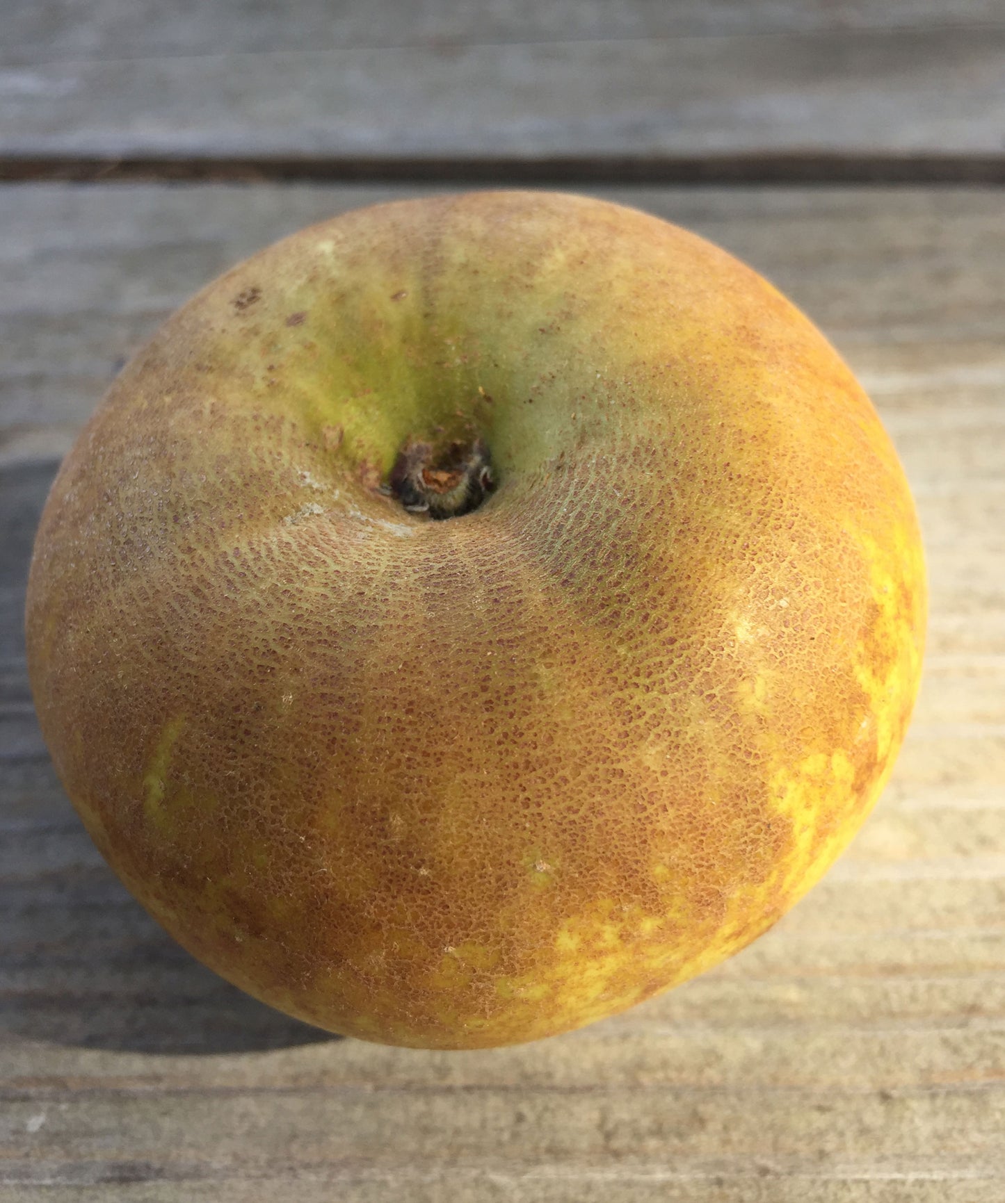 Golden Russet Apples