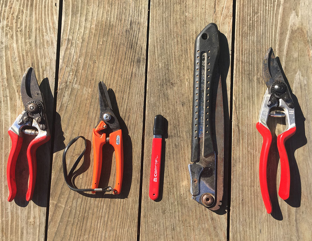 Winter Pruning Workshop