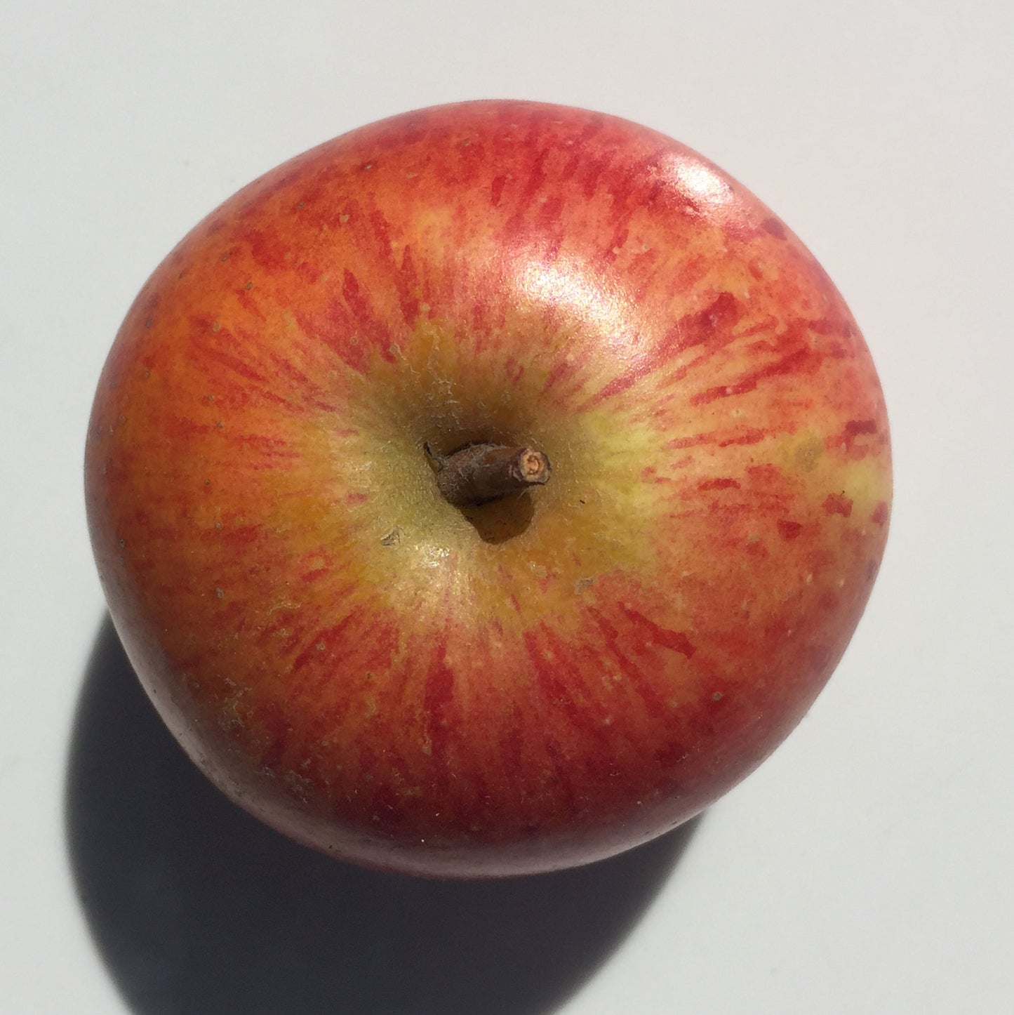 Rubinette Apples