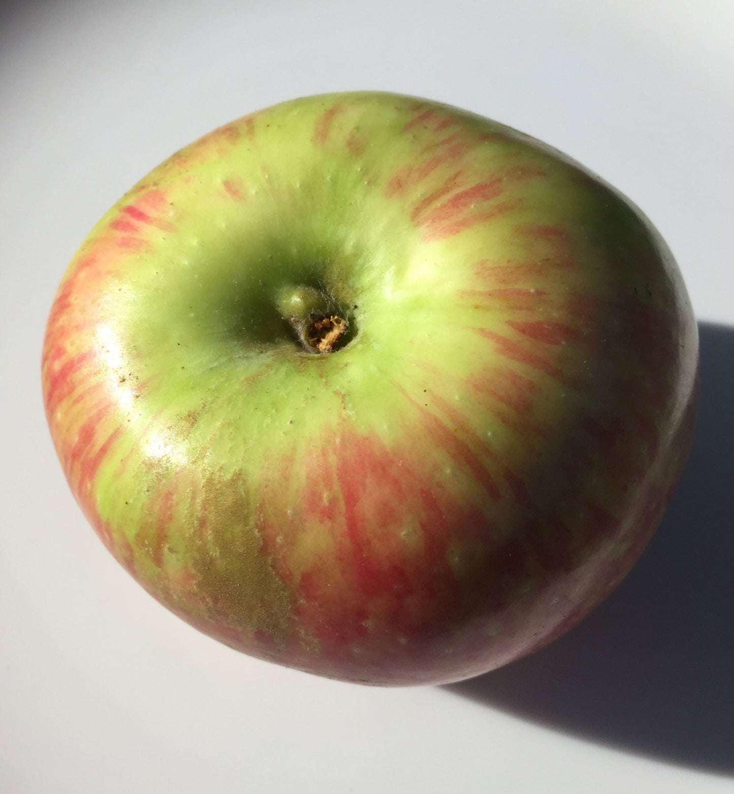 Wagener Apples