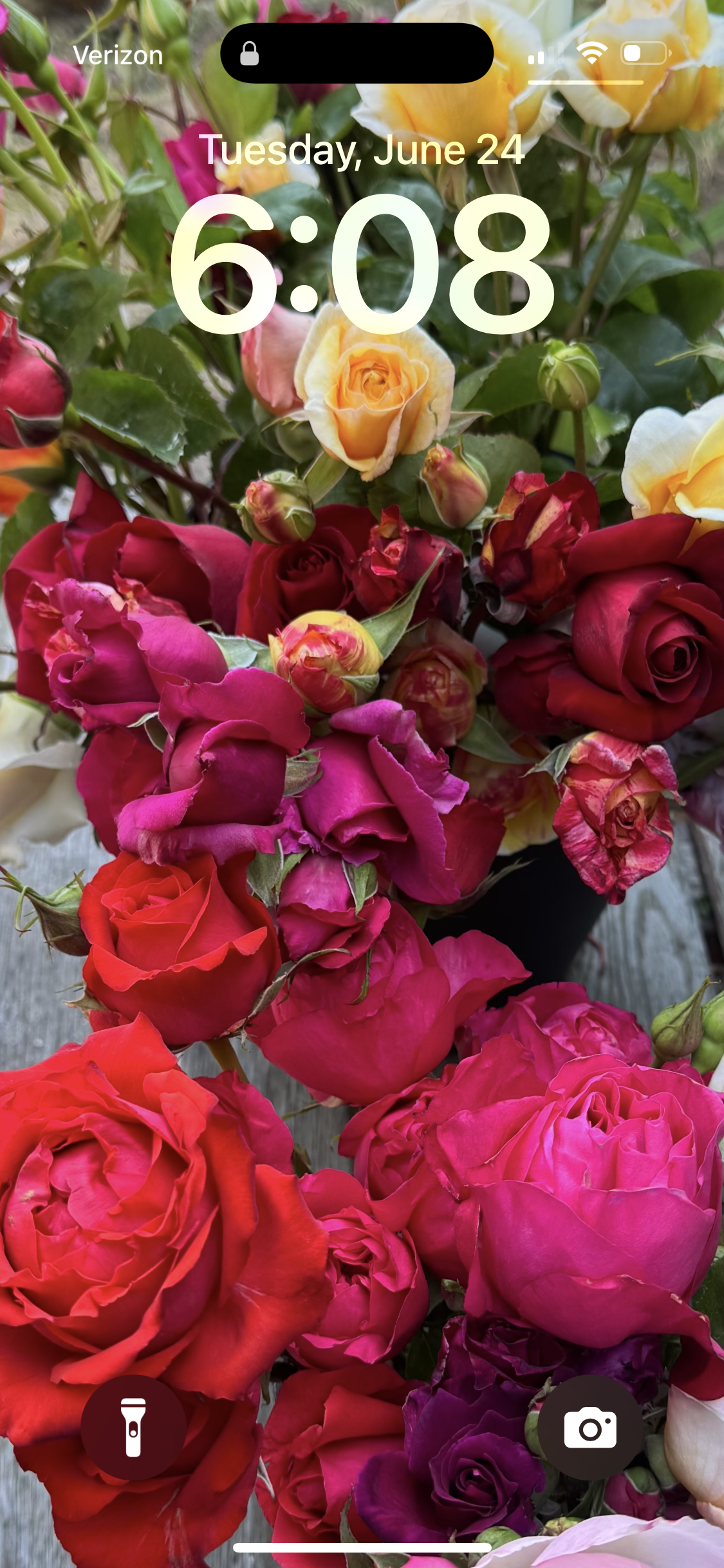 U-Cut Roses Experience at Birdsong Orchards, Watsonville