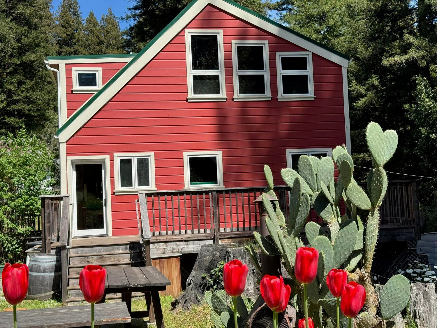 U-Cut Roses Experience at Cabrillo Cottage Farms, Aptos
