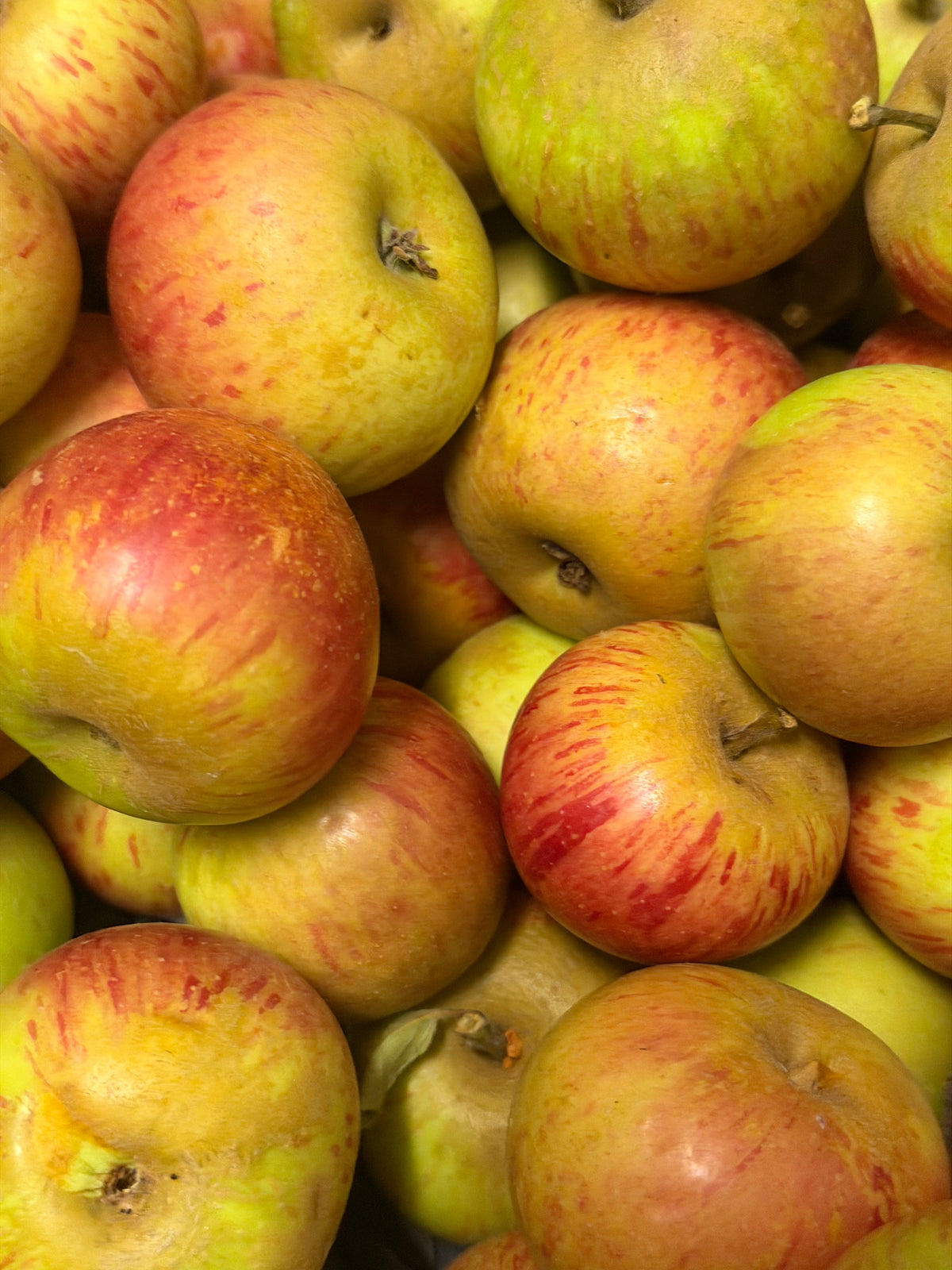 Rubinette Apples