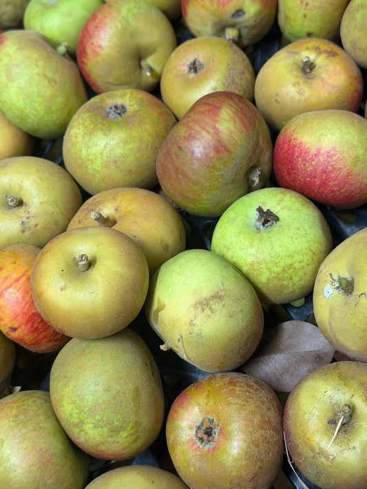 Orleans Reinette Apples