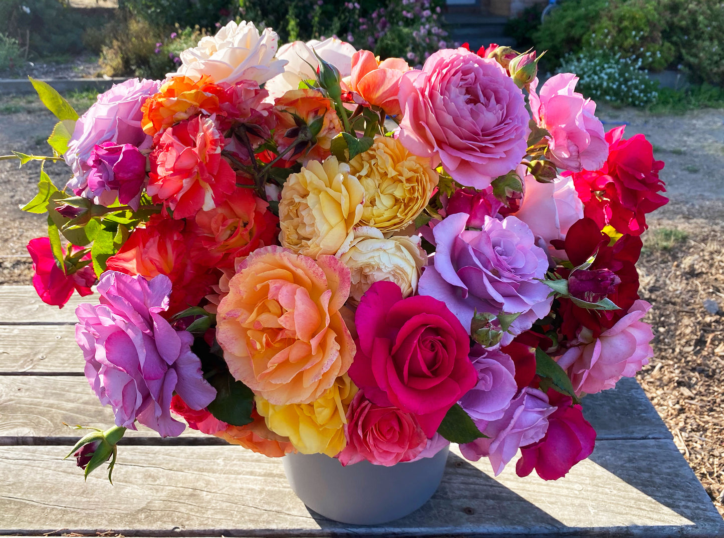 U-Cut Roses Experience Holiday Gift Card - Single Bucket