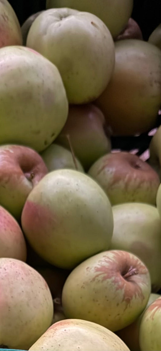 Yellow Bellflower Apples