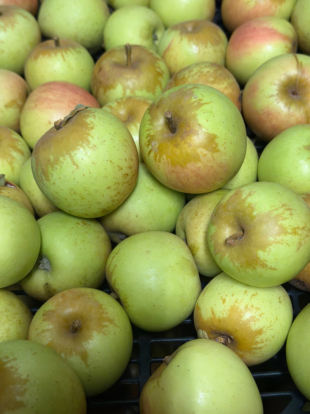 Golden Delicious Apples