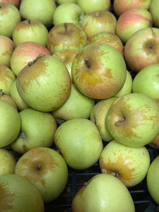 Golden Delicious Apples