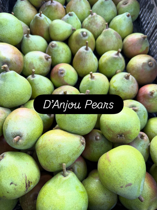 D'Anjou Pears