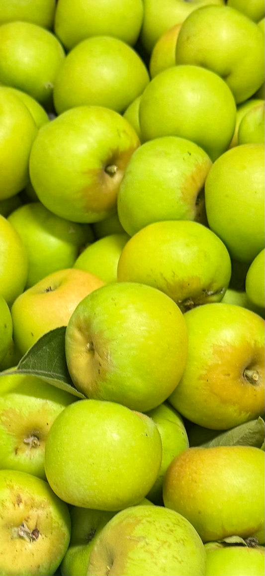 Grimes Golden Apples