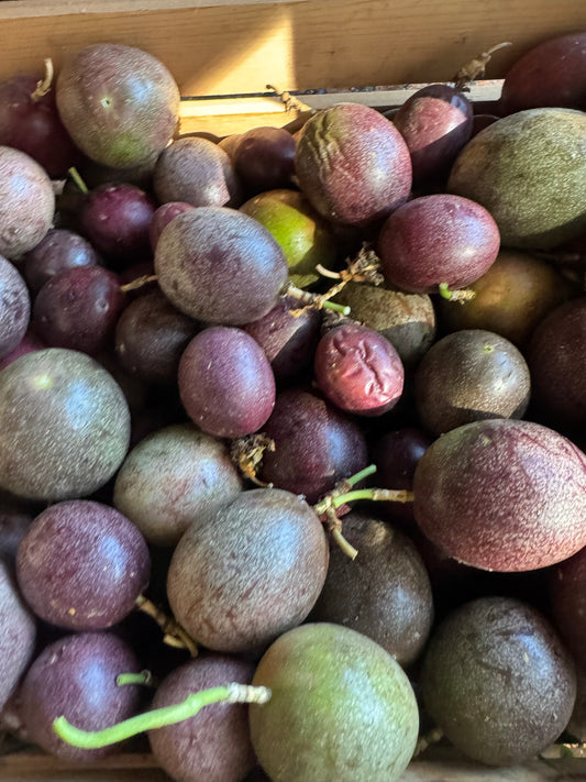 Passionfruit (organic)