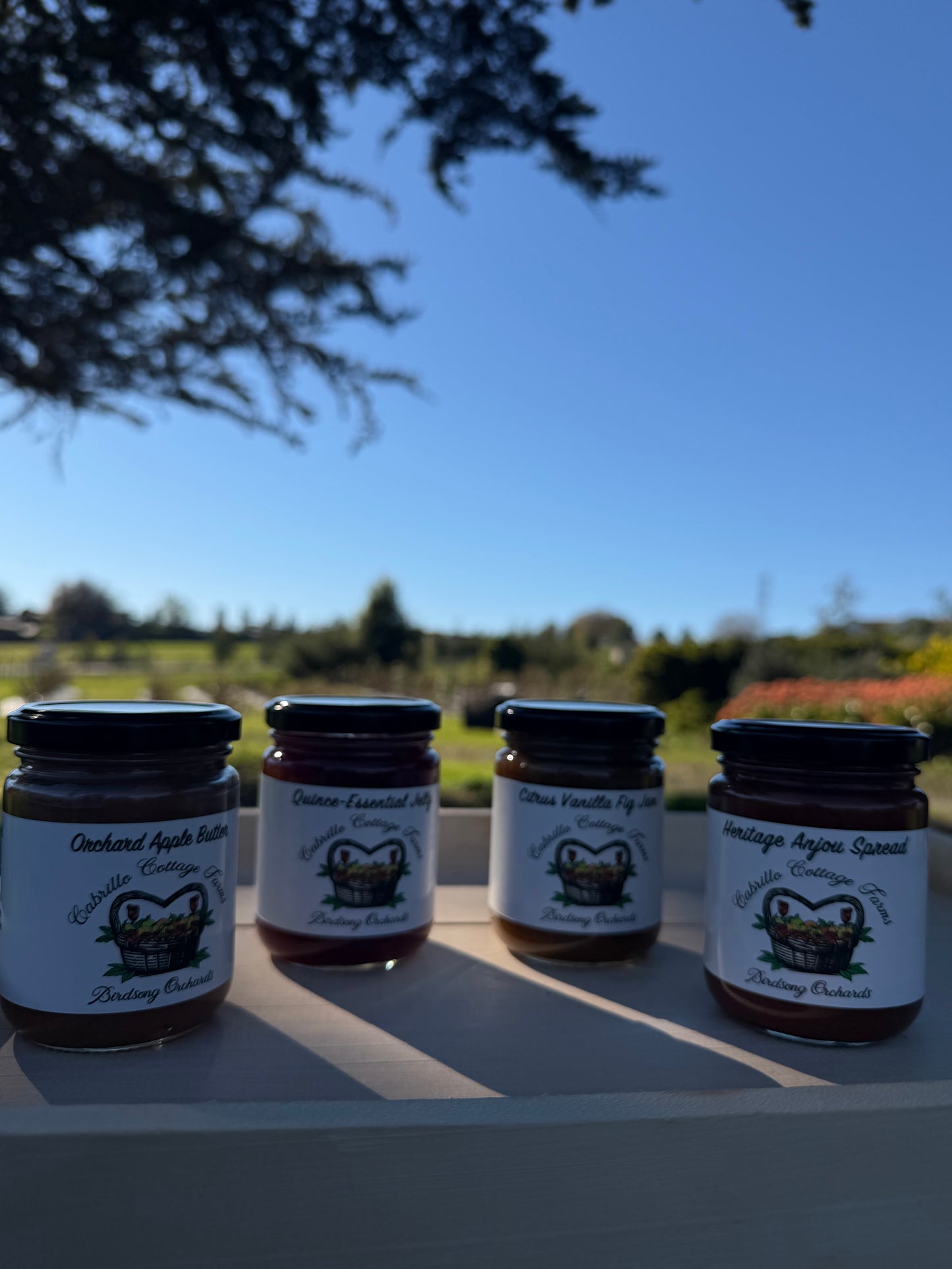 Orchard Preserve Sampler