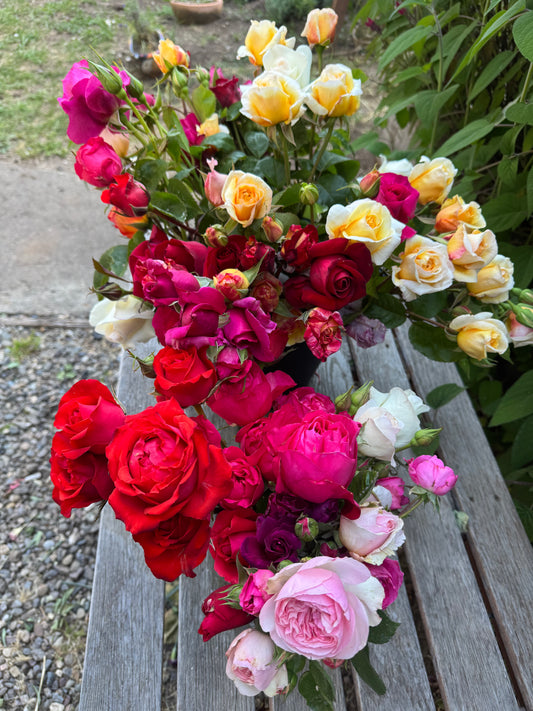 U-Cut Roses Experience Gift Card