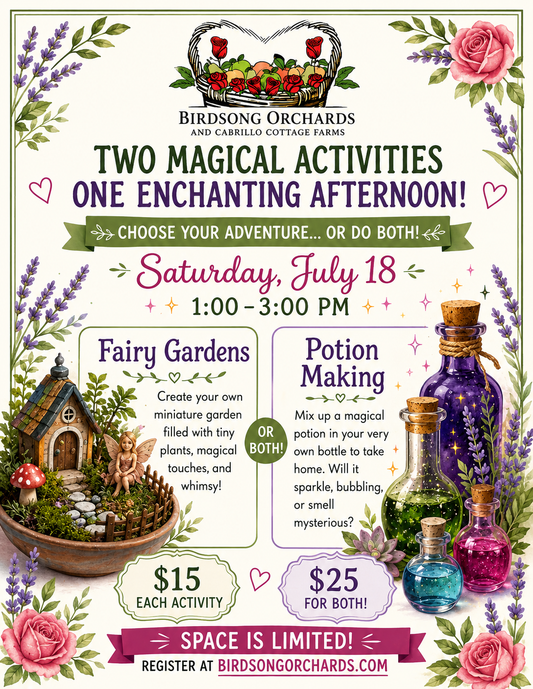 Two Magical Activities
