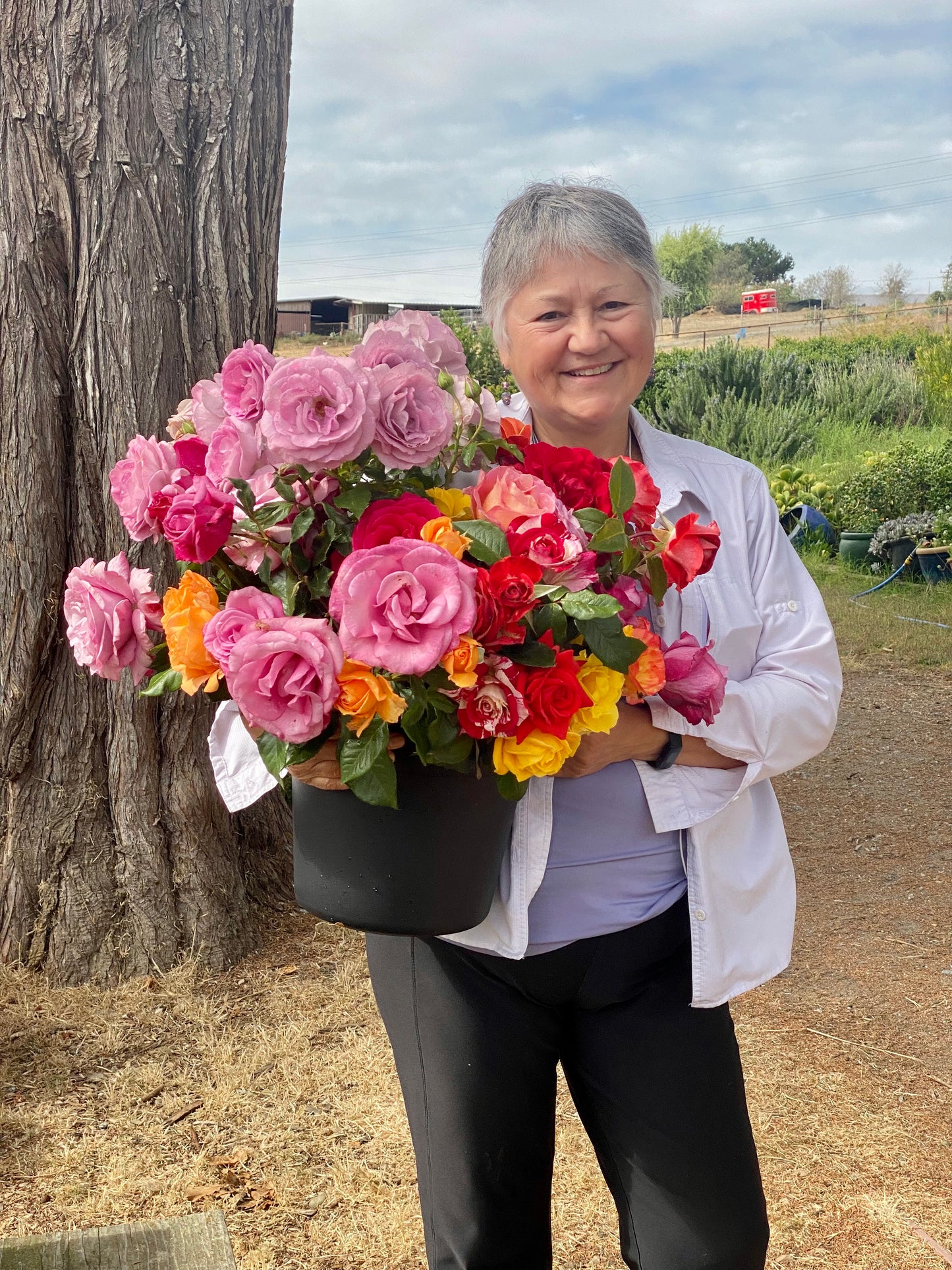 U-Cut Roses Experience Holiday Gift Card - Two Bucket Deal