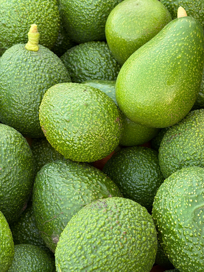 Avocado Box