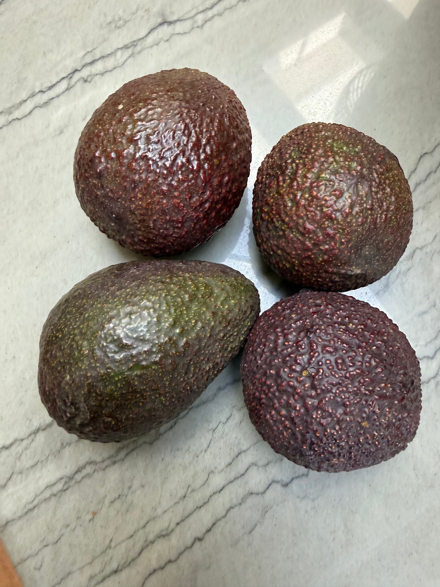 Avocado Box