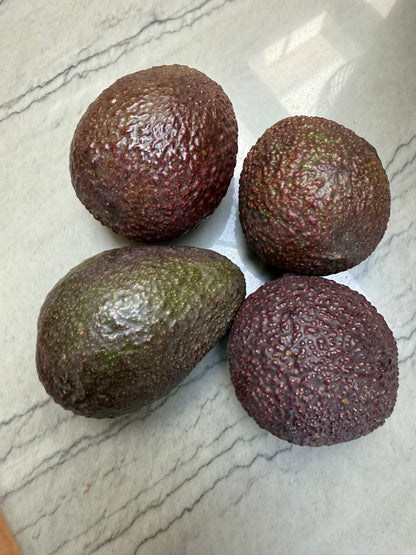 Avocado Box