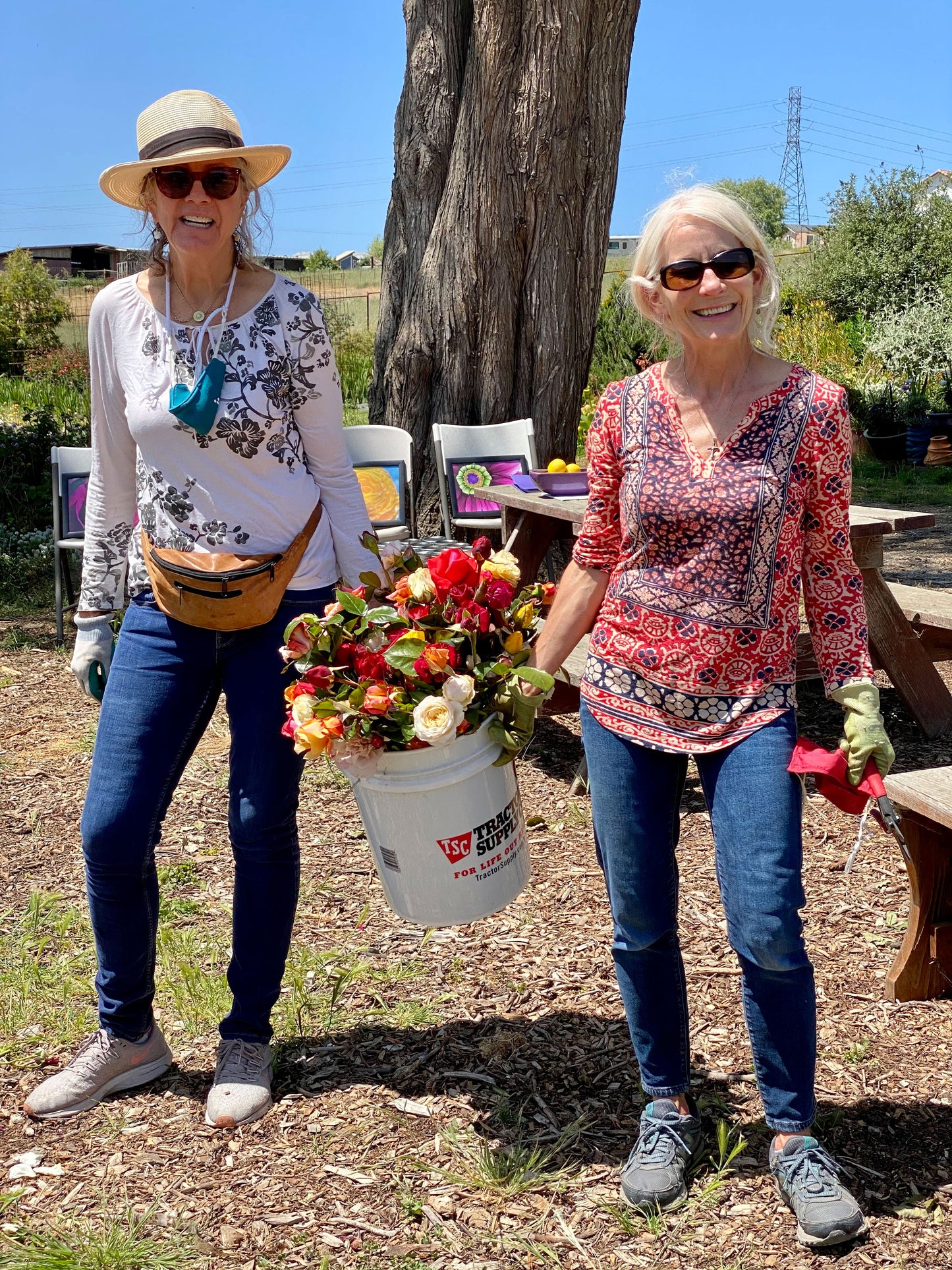 U-Cut Roses Experience Holiday Gift Card - Two Bucket Deal