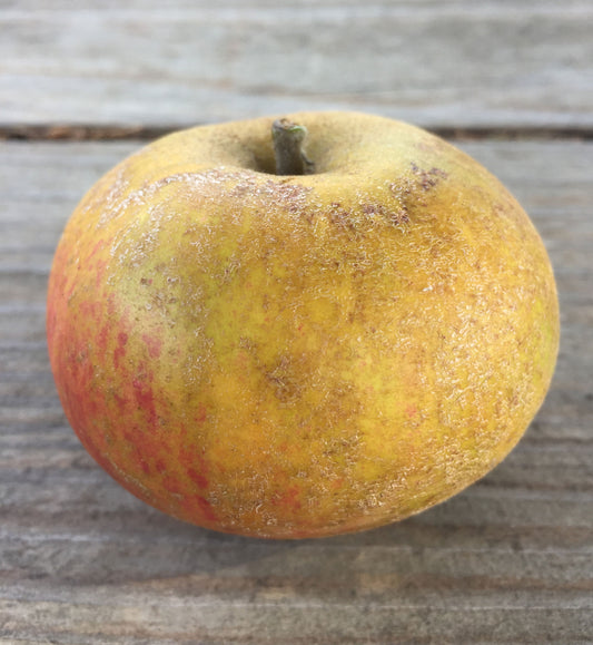 Ashmead's Kernel Apples
