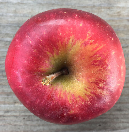 Cinnamon Spice Apples