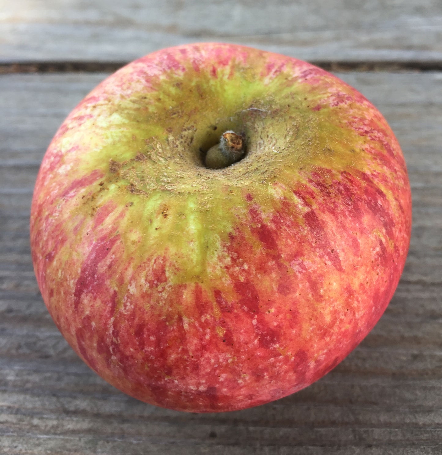 Cox's Orange Pippin Apples