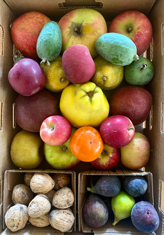 Fall Harvest Bounty Box
