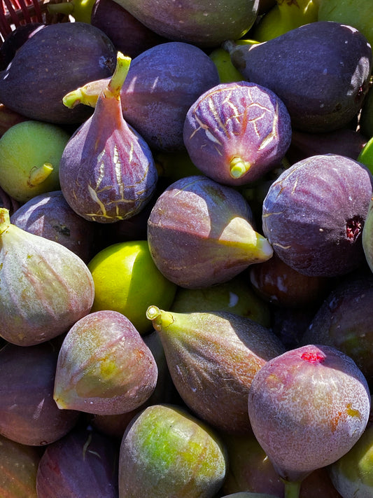 Mixed Figs