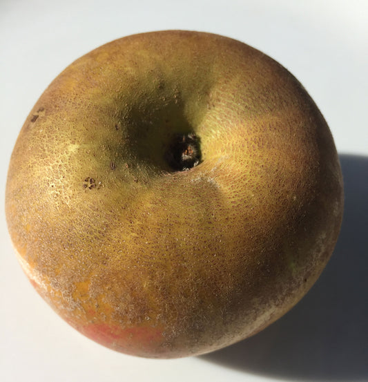 Golden Russet Apples