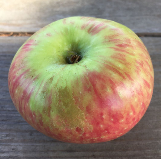 Wagener Apples