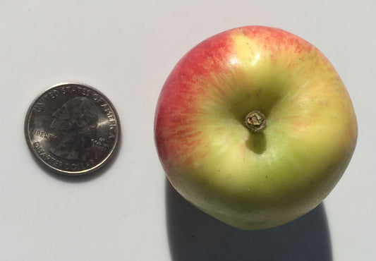 Wickson Apples