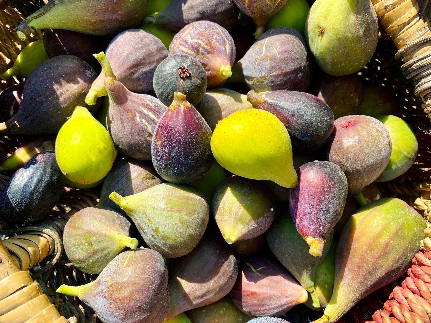 Mixed Figs